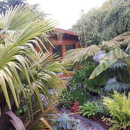 Cabin Set In A Beautiful Romantic Tropical Garden Sutton Coldfield Esterno foto