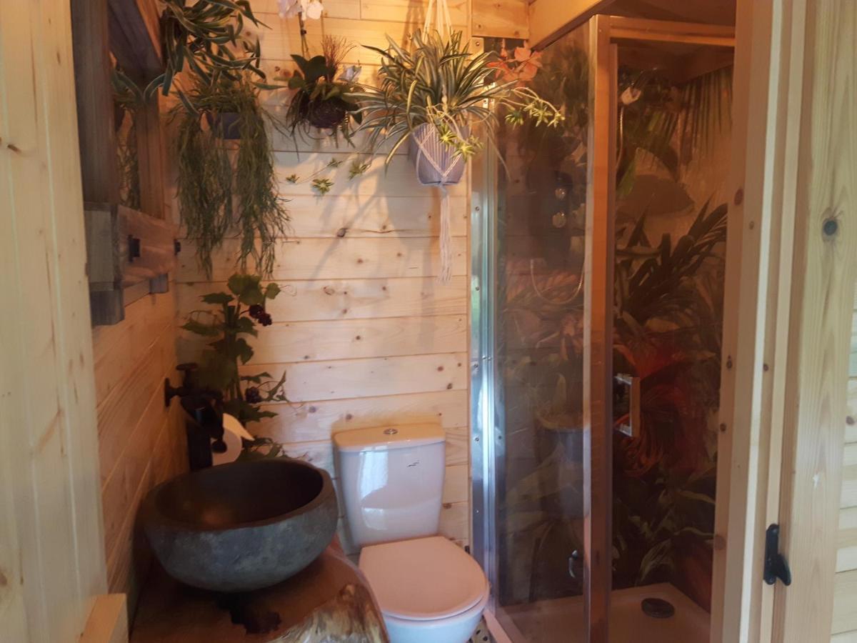 Cabin Set In A Beautiful Romantic Tropical Garden Sutton Coldfield Esterno foto