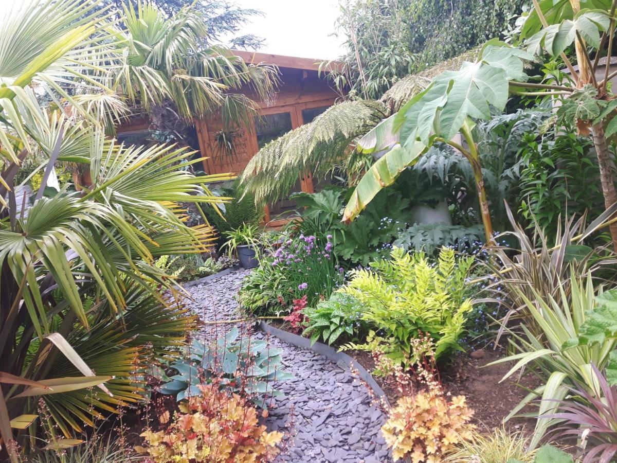 Cabin Set In A Beautiful Romantic Tropical Garden Sutton Coldfield Esterno foto