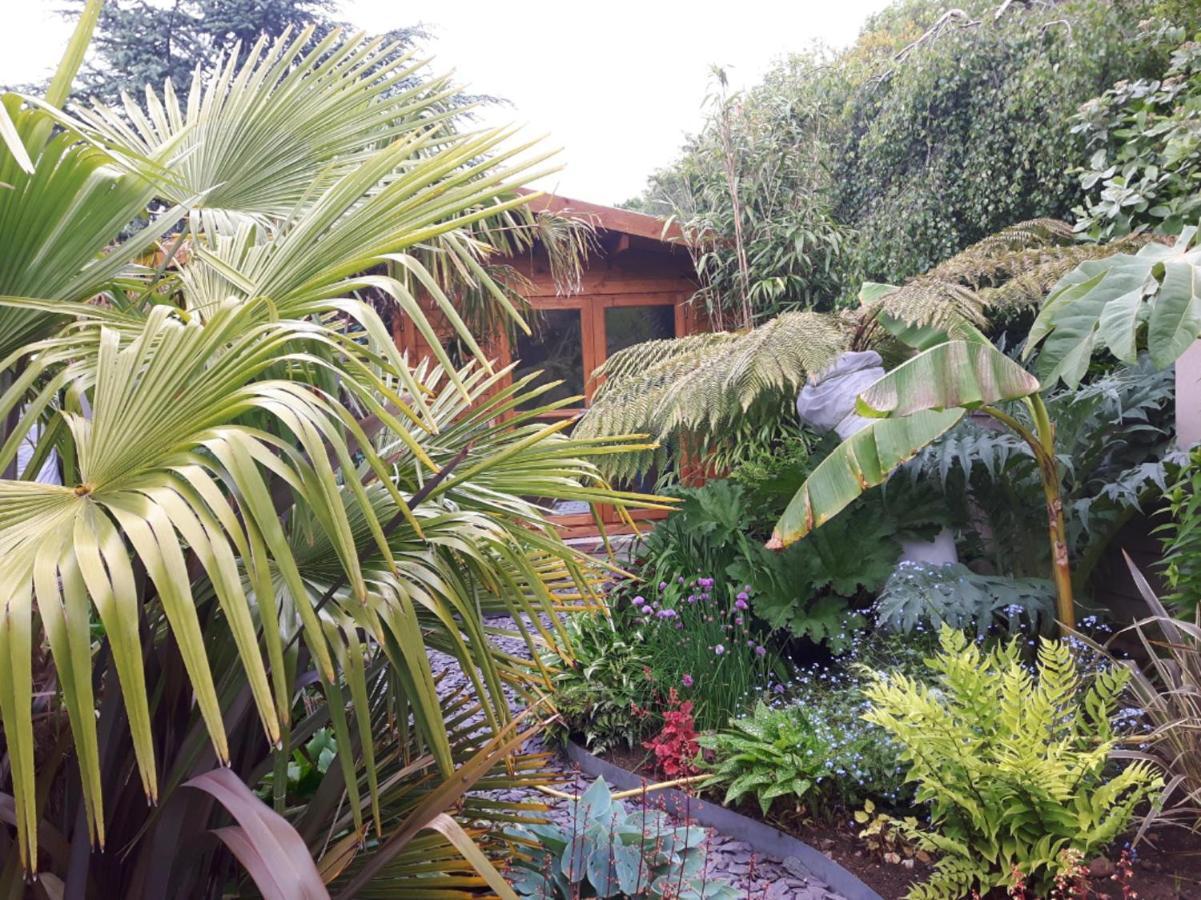 Cabin Set In A Beautiful Romantic Tropical Garden Sutton Coldfield Esterno foto