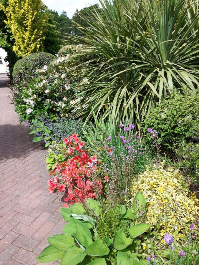 Cabin Set In A Beautiful Romantic Tropical Garden Sutton Coldfield Esterno foto