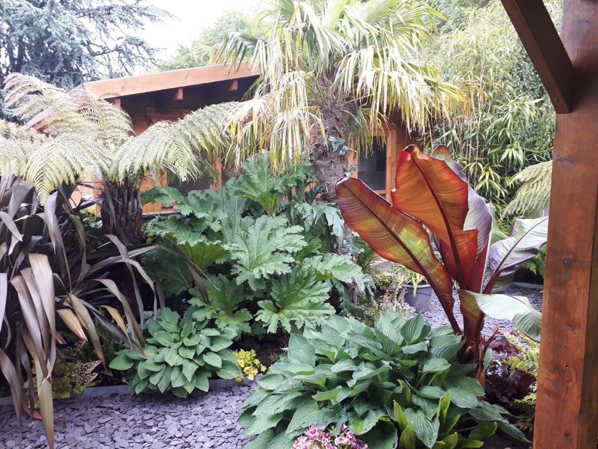 Cabin Set In A Beautiful Romantic Tropical Garden Sutton Coldfield Esterno foto